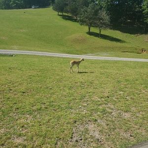 Meet your Posher, Jackie